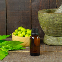 Ayurvedic Therapy